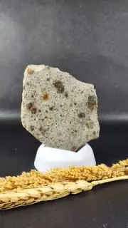 Meteorite Slice . Chondrite L6 . Meteorite Specimen . Meteorite Rock . 436.30CT