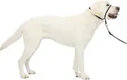 PetSafe Gentle Leader No-Pull Dog Headcollar - The Ultimate Solution to Pulling - Redirects Your Dog's Pulling for Easier Walks - Helps You Regain Control - Large, Charcoal