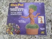 Chia Pet Guardians Of The Galaxy