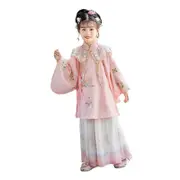 Chinese Girls Embroidered Dress Floral Tang Suit Hanfu Fairy Ancient Costume