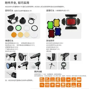 ◎相機專家◎ Godox 神牛 AD200pro 口袋閃光燈 外拍棚燈 閃燈 TTL 口袋型 無線外閃 AD200 PRO公司貨【跨店APP下單最高20%點數回饋】