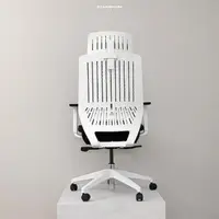 在飛比找momo購物網優惠-【Backbone】Peacock白框網座 人體工學椅(獨家