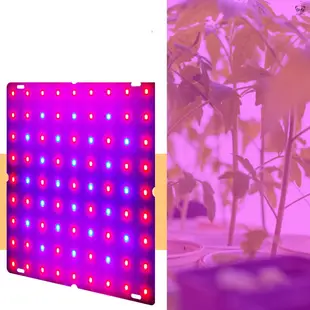 大款（169珠） 美規 D款led植物生長燈室內育苗補光種植燈PAR全光譜量子板植物燈