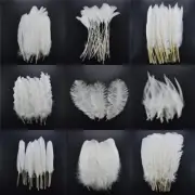 20pcs/Lot Rooster Goose Pheasant Feathers Crafts Chicken Duck Peacock Feather