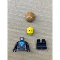 在飛比找蝦皮購物優惠-LEGO 樂高人偶 Robin Underwood 未來騎士