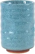 Mino ware Japanese Pottery Yunomi Chawan Tea Cup Sky Blue Crackled Dimpled made in Japan (Japan Import) MSY026