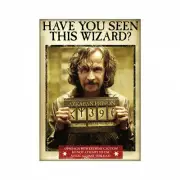 Harry Potter Sirius Wanted Poster Magnet Black