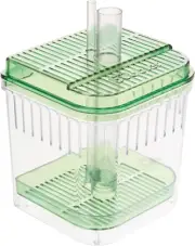Bubbler Filter for Cleaning Aquarium Fish Tanks - 10 Gallon