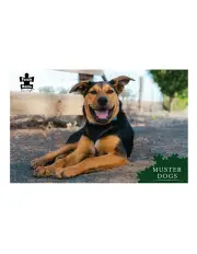 [Puzzle Master] Lively Lovable Muster Dogs Banjo Puzzle