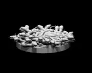 Swarm of Poisonous Snakes (2pcs) Monster Manual 28mm Scale DND D&D Tabletop Mini