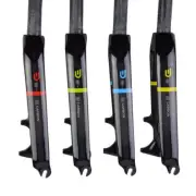 Carbon Fiber Fork 20" Disc Brake Folding Bike BMX Opening 74/100MM 28.6mm Forks