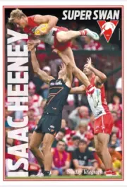 2024 SYDNEY SWANS ISAAC HEENEY TEAM PLAYER POSTER, FREE POST, BARGAIN,1