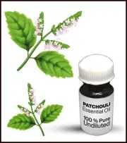 Patchouli Essential Oil 100% Pure Undiluted (10ML-500ML)