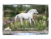 Czech Warmblood crystal with a horse Art-Dog