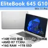 【HP展售中心】Elitebook645G10【8L7S5PA】14吋防窺/R7-7730U/16G/1T【現貨】