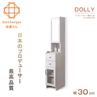 在飛比找誠品線上優惠-【Sato】DOLLY朵莉雙抽單門鏡面隙縫櫃．幅30cm