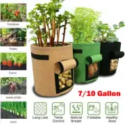 Gallon Vegetable 5/7/10 Grow Bags Garden Planting Grow Bag Planter Potato Pot