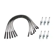 Bosch Leads + 6 x Denso Iridium Power Plugs for Ford Fairlane Fairmont Falcon AU
