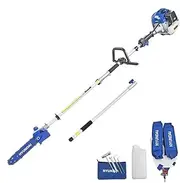 33cc Petrol Engine Pole Saw with 800 mm Extension and Harness, 10-inch Length