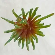 Spikey Green and Red Artificial Succulent Pick for Floral Arranging