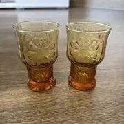 Vintage Libbey Country Garden Daisy Amber Set of 2 Tumblers - 4” tall