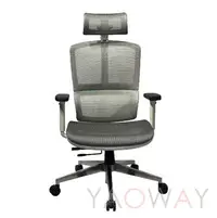 在飛比找Yahoo!奇摩拍賣優惠-【耀偉】獨角仙人體工學椅-白框 夏日新品 獨特造型 值得擁有