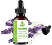 Pure Herbs Lavender kashmir 100% Natural lavandula angustifolia Essential Oil
