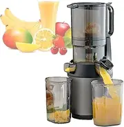 Juicer Machines, Cold Press Masticating Juicer, 300w Press Slow Juicer, with 13cm Feeding Chute, Portable Pomace Separation Juicer, for Fruits Vegetables,Grey