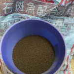 50魚 沉底魚飼料 石斑沉料 鱘龍魚飼料 泰國蝦飼料 淡水小龍蝦飼料 現貨 可自取 可宅配