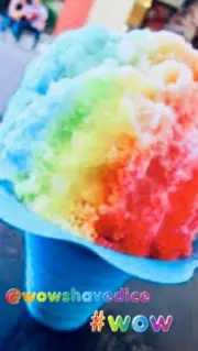 Snow Cone Cups 450ml Pack 4 MIXED COLOURS - Party Ice Shaver Cup Flower