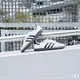 NICEDAY 部分現貨/代購 ADIDAS SAMBA OG 白 明星著用 復古 板鞋 男女 B75806