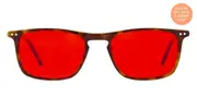 Dylan Blue Light Blocking Glasses - Maple Tortoise