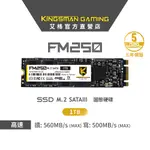 AITC 艾格 KINGSMAN FM250 1TB M.2 2280 SATA SSD 固態硬碟