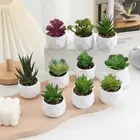 Cactus Artificial Succulent Evergreen Small Potted Plants Home