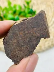 Natural NWA chondrite meteorite slice classified find Sahara Desert 20.4g