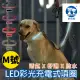 【美好寵商】DOGNESS多尼斯 LED彩光系列項圈_M號(發光項圈 充電式項圈 USB充電)