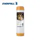 EVERPOLL EVB-M100A標準型10英吋道爾樹脂濾芯(白殼) 橙淨水