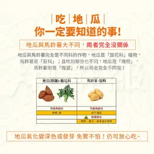 【免運超值組】瓜瓜園 蒸黃金地瓜 500g/包 [10包/15包組] 小顆 番薯【揪鮮級】