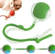 Cat Toys Rolling Ball Dog Ball，Self Rolling Dog Ball Interactive Cat Toys Automatic Cat Toy Self Moving Dog Toys, 360° Smart Automatic Rolling Ball Toy Electric Dog Balls for Cat (Green)