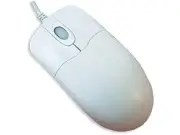 Seal Shield Silver Storm Stwm042p Optical Mouse - Optical - Cable - White - Ps/2