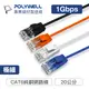 (現貨) 寶利威爾 CAT6 極細高速網路線 20公分 網路線 RJ45 福祿克認證 POLYWELL