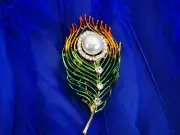 Vintage elegant enamel peacock feather flower brooch