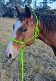 Stiff Rope Horse Halter - AUSTRALIAN MADE TUFF TACK - Natural Horsemanship