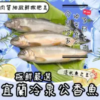 在飛比找momo購物網優惠-宜蘭外銷日本產銷履歷肥美公香魚