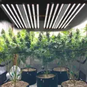 Phlizon 1000W Samsungled Grow Light Bar Full Spectrum Hydroponics Replace Gavita