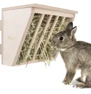 Pet Wooden Hay Manger with Seat, Large Size, 9-7/8'' X 6-3/4'' X 8'' (Plywood)