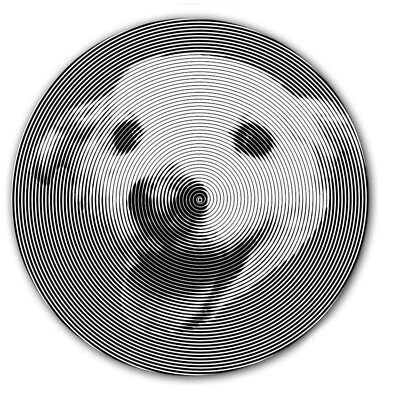 DJ Psycho Dog Hypnosis Slip Mat 7" inch Slipmat Portablism Turntable x1