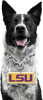 Littlearth NCAA Pet Fain Chain Georgia Bulldogs