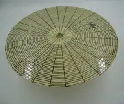 John Derian 12" Cake Stand Halloween Plate- Spider & Web NWT