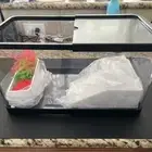 Turtle Tank Aquarium,Reptile Tank, Lake with Heat Lamp Gravel And Plants. Medium